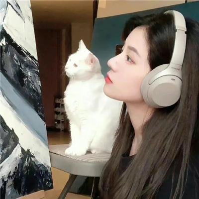 双面骗子虚假警察第一季