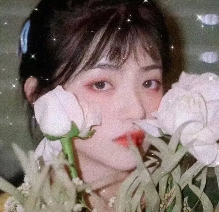 阁楼里的花